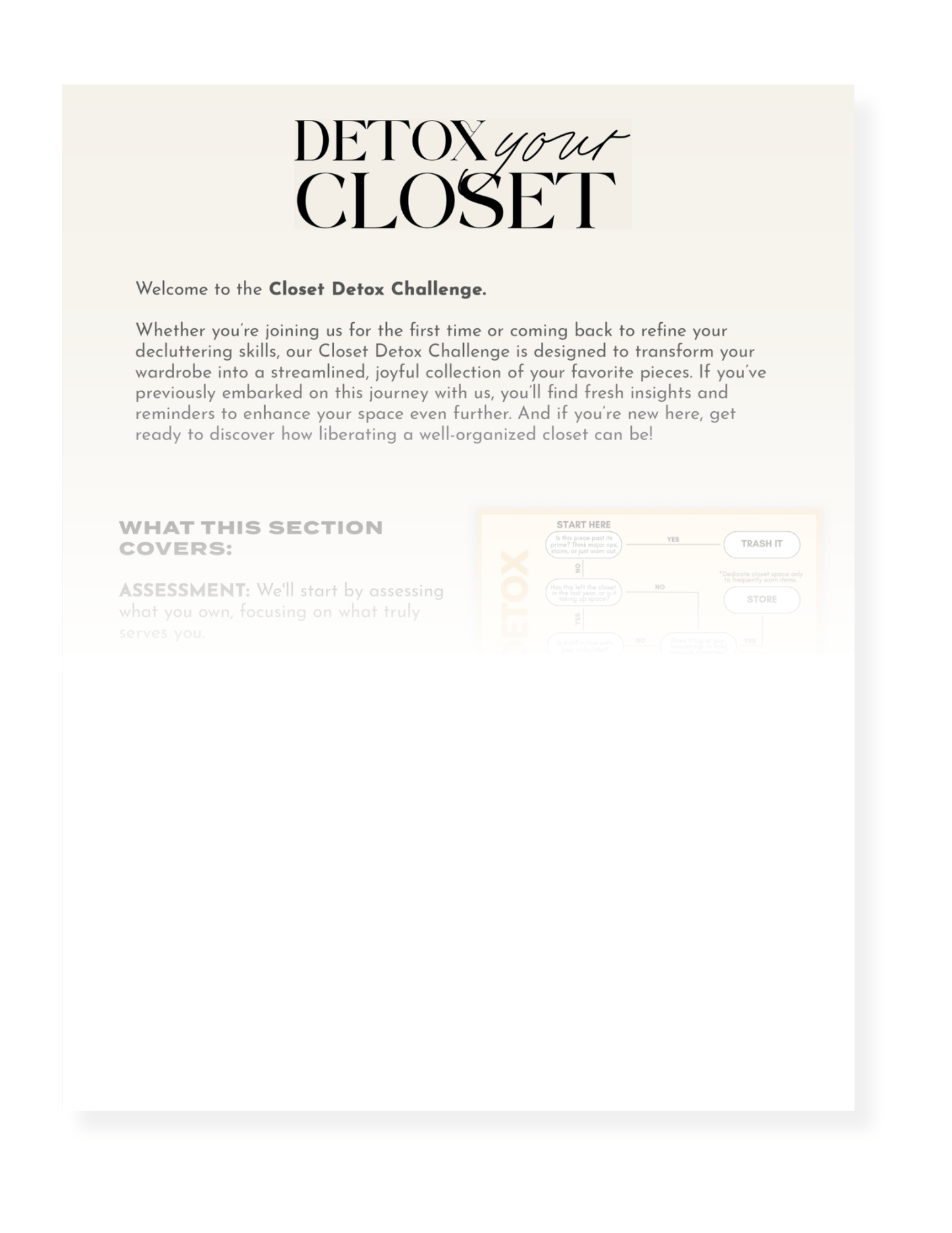 FREE Closet Detox Guide - The Style Guru