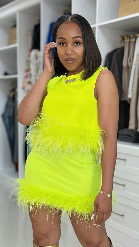 Feather Trim Skirt - The Style Guru
