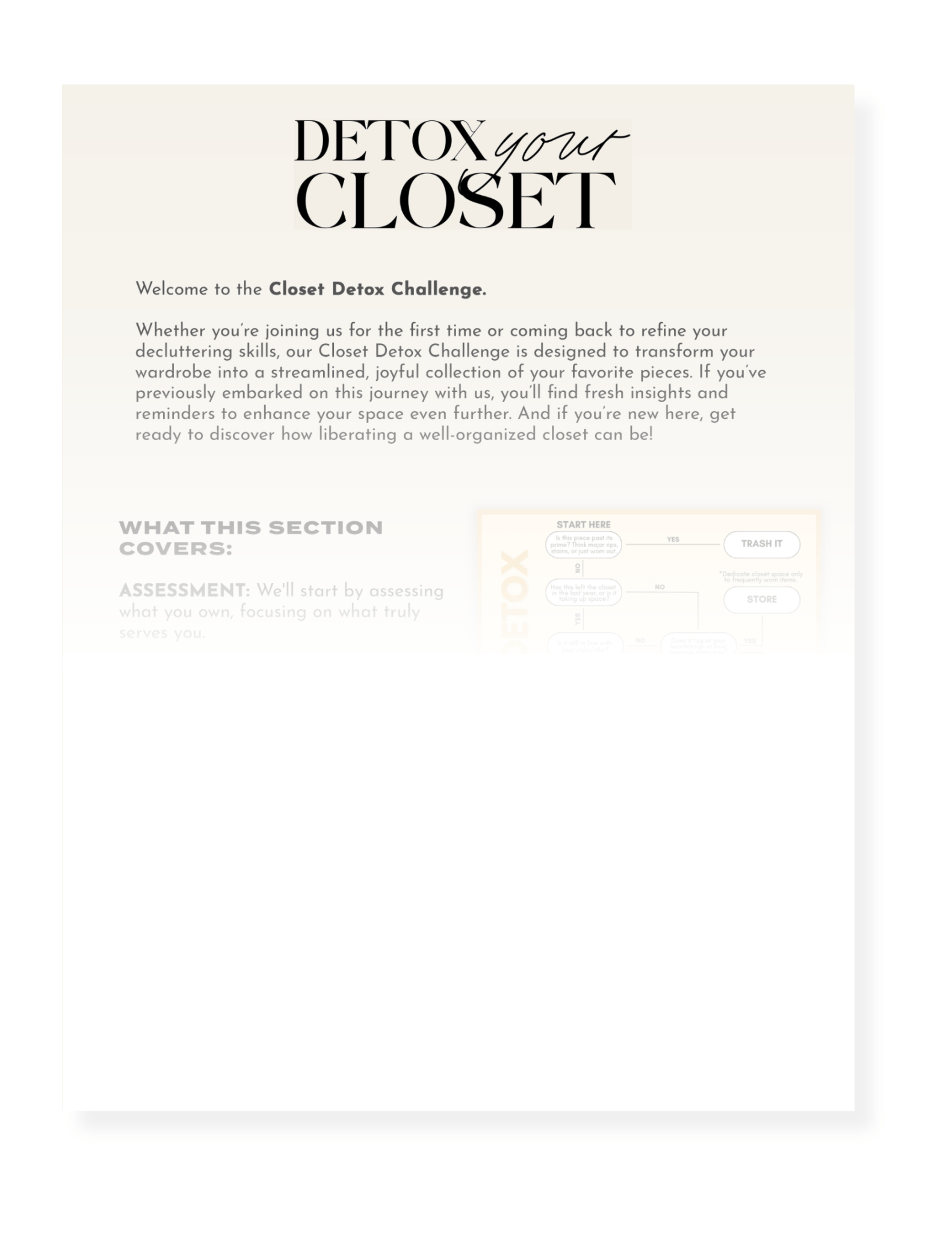 FREE Closet Detox Guide - The Style Guru