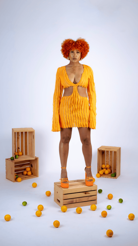 Mesh Wave Mini Dress - The Style Guru
