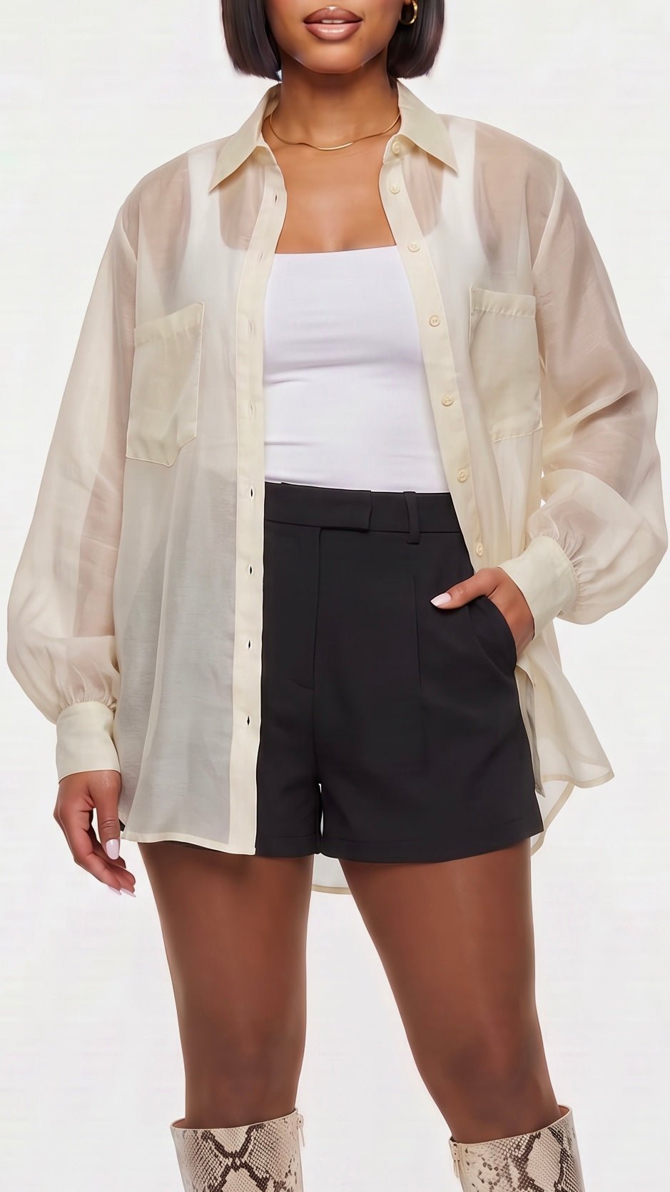 Organza Button-Up Blouse - The Style Guru